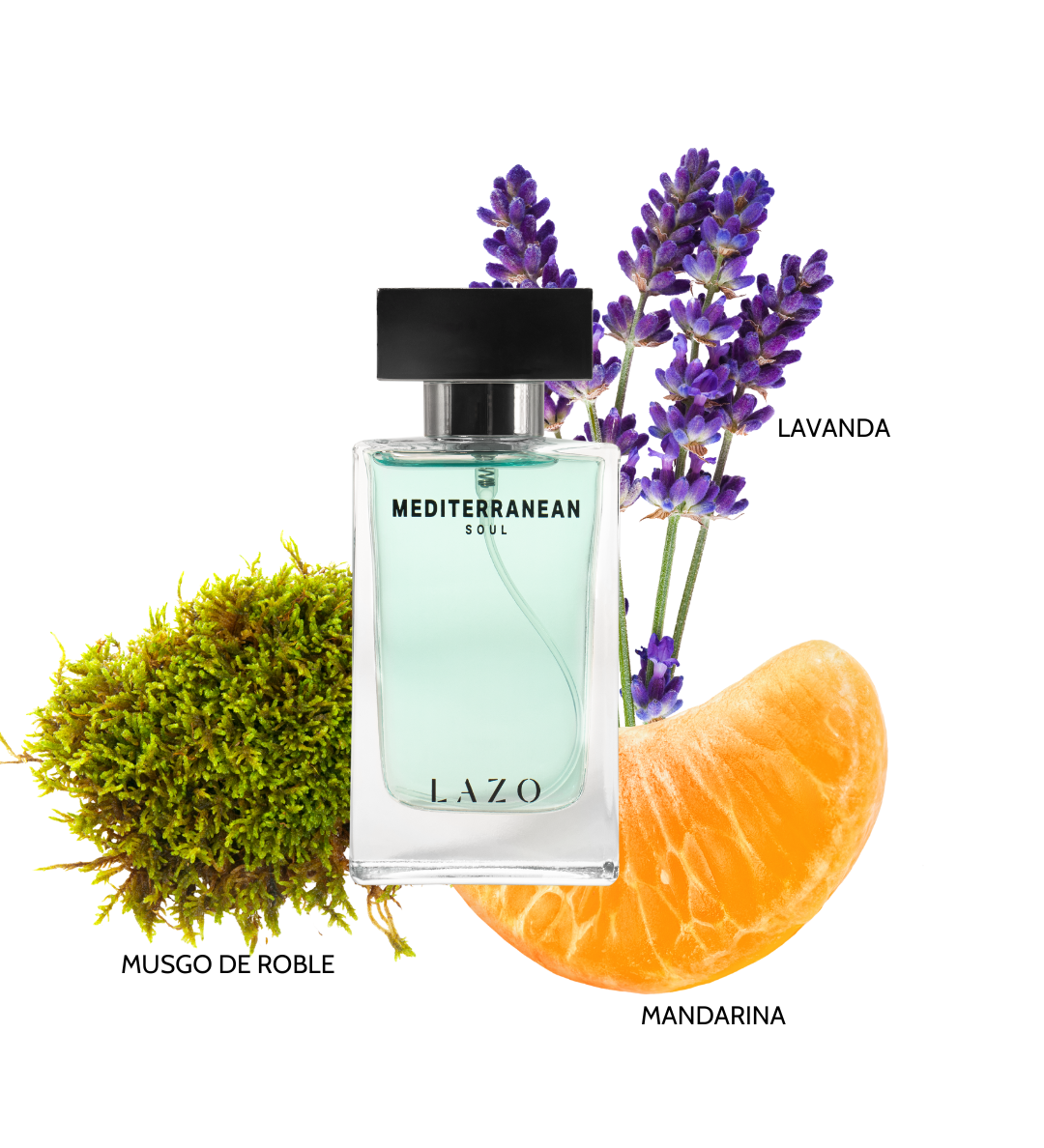Locion con notas de lavanda, mandarina y musgo de roble