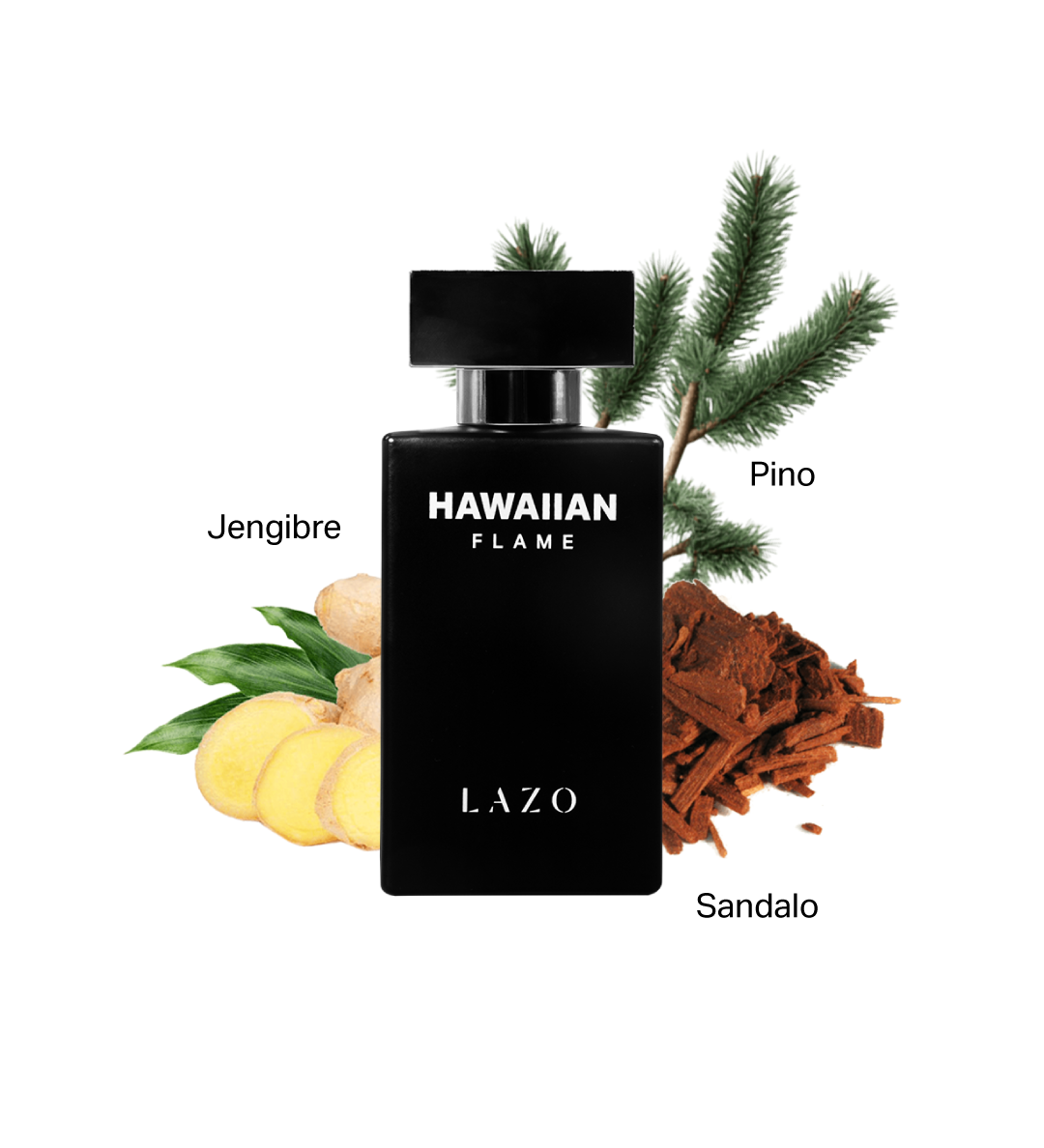 Locion con notas de pino, jengibre y sandalo