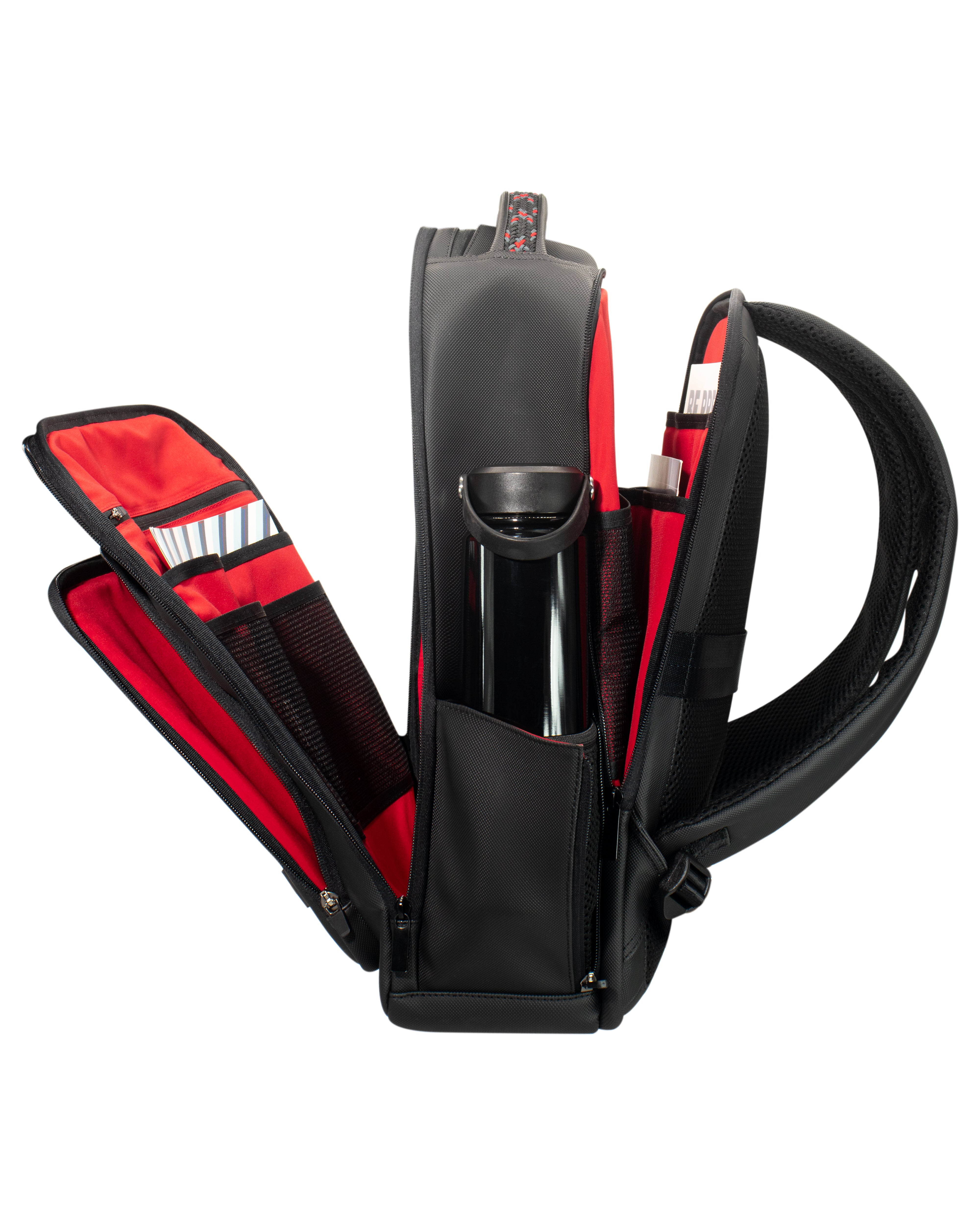 MORRAL FOREST