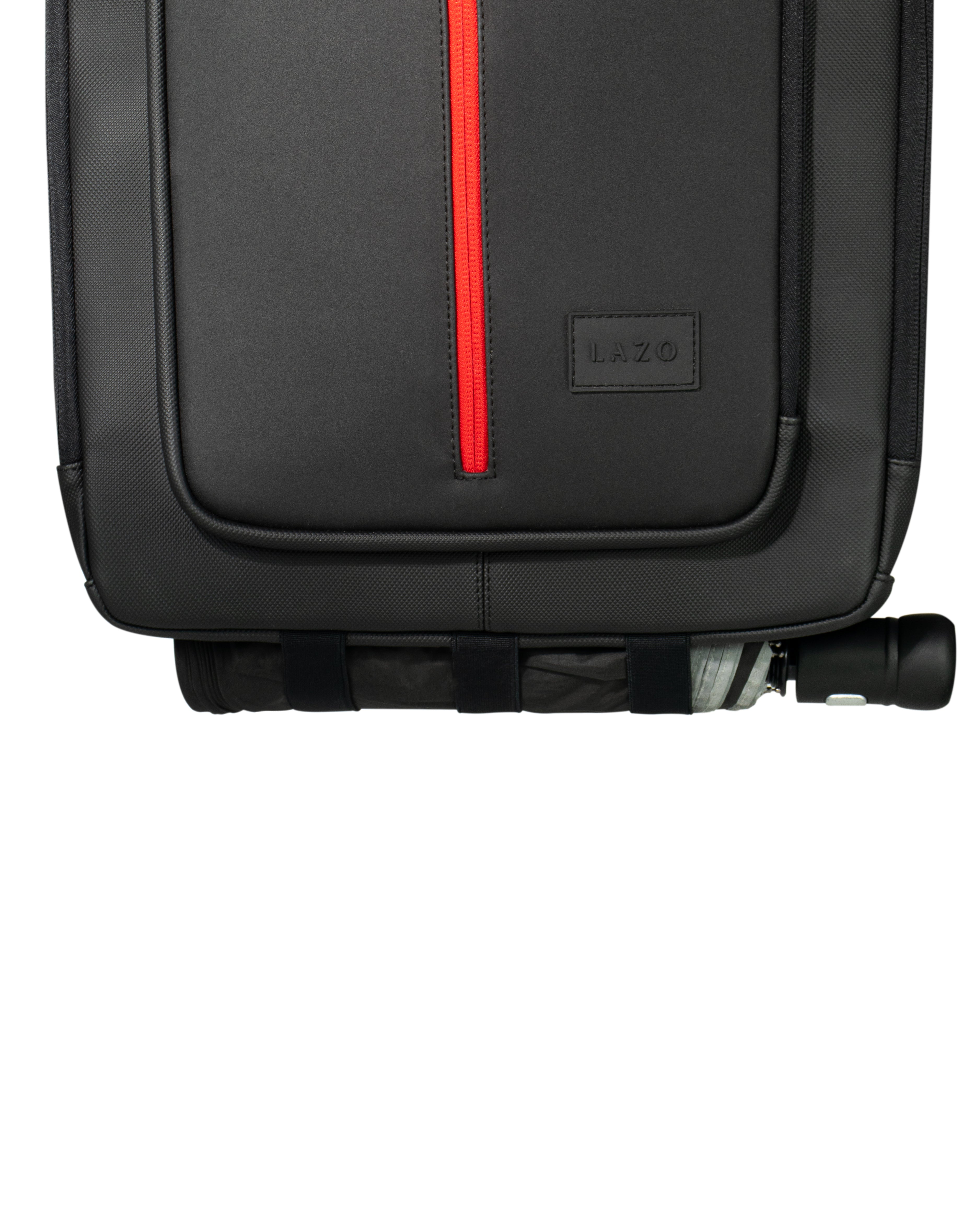 MORRAL FOREST