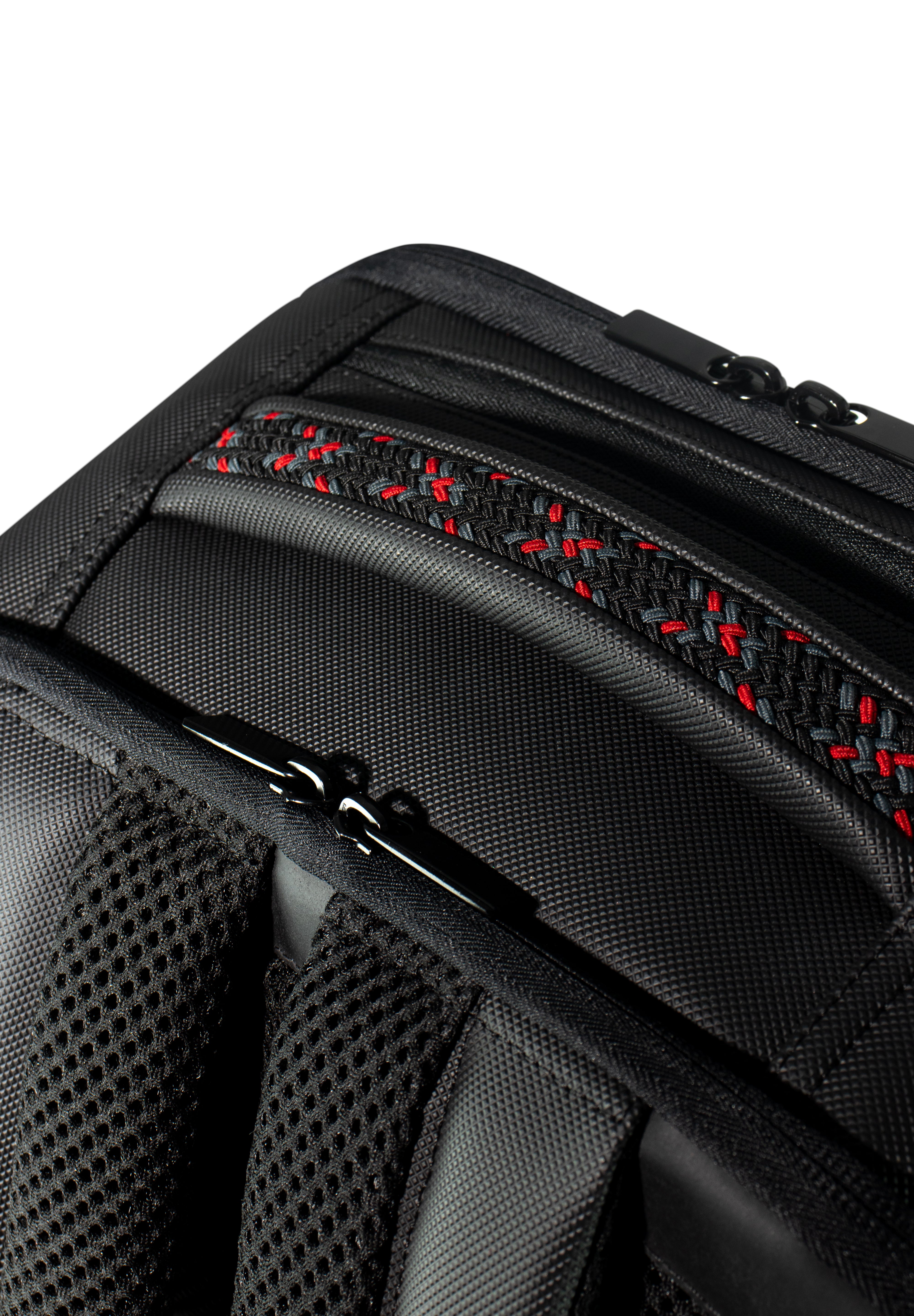 MORRAL FOREST