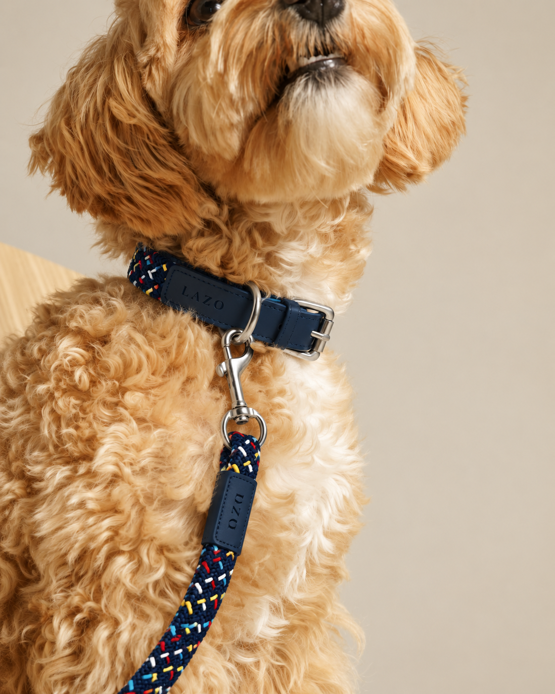Collares y correas para mascotas el mejor regalo para el consentido de la casa.